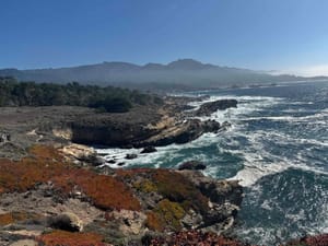 /home/me/trips/monterey/ihg_clement.review